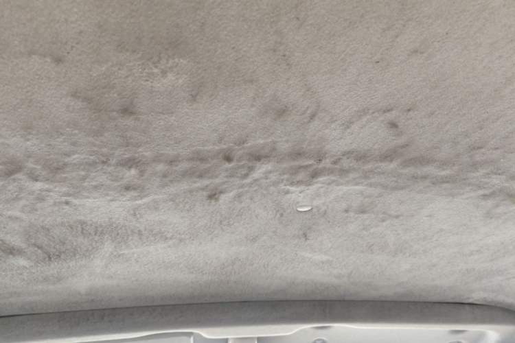Used Jinbei Express 2017 2.0L Standard Version V19 Headliner