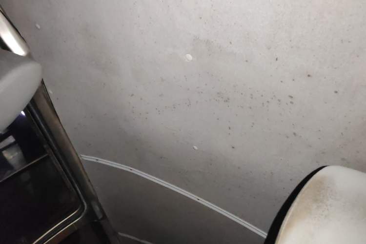 Used Jinbei Express 2018 2.0L Standard Version V19 Headliner