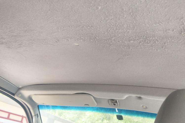 Used Jinbei Express 2018 2.0L Standard Version V19 Headliner