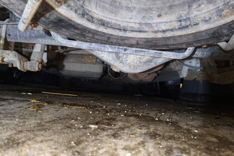 Used Jinbei Express 2018 2.0L Standard Version V19 Chassis Rear