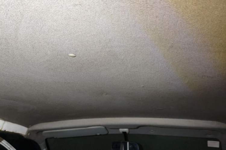 Used Jinbei Express 2018 2.0L Standard Version V19 Headliner