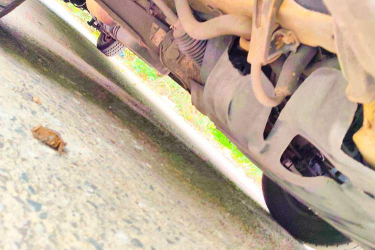 Used Jinbei Express 2019 2.0L Standard Version China VI 1TZS Chassis Front Right