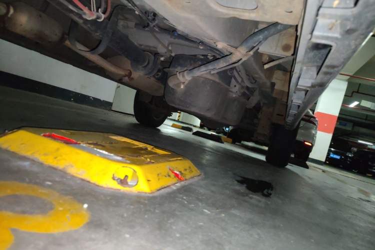 Used Jinbei Gold Hiace 2021 1.5L Passenger Van Travel Lion 6-Seater Chassis Front Left