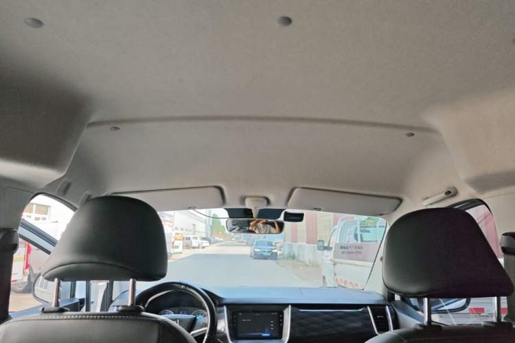Used Jinbei Gold Hiace M Classic 2022 Panda Edition 1.5L Travel Lion Passenger Van 5 Seats Headliner