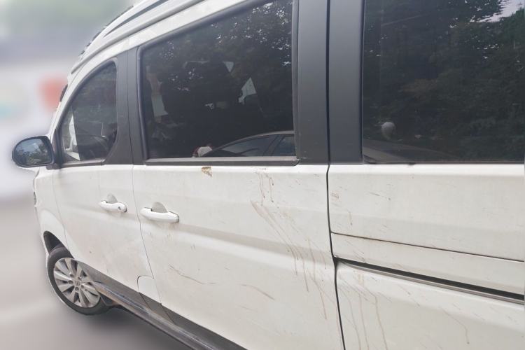 Used Jinbei Gold Hiace M Classic 2023 Panda Edition 1.5L Travel Lion Passenger Van 5/6/7 Seats Rear Left 45 Deg