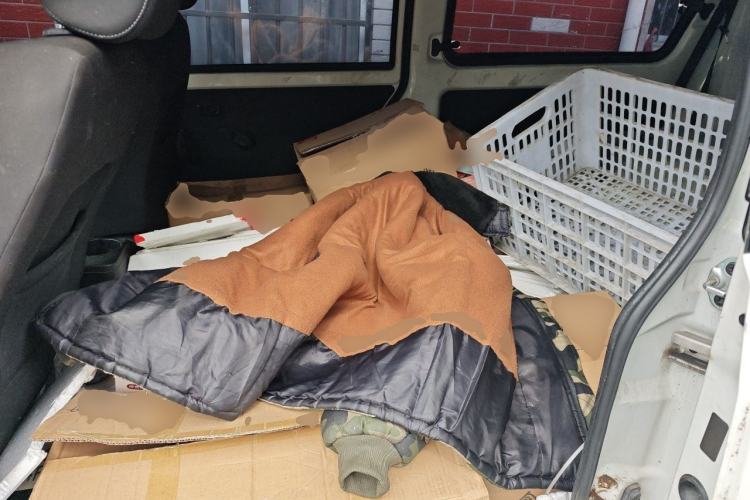 Used Jinbei Gold Hiace M Classic 2024 1.5L Engineering Lion Passenger Van 7 Seats Left Rear Seat