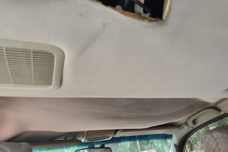 Used Jinbei Grace 2008 2.0L Zhi Ling Standard Version (Short Wheelbase) 4G20D4L Headliner