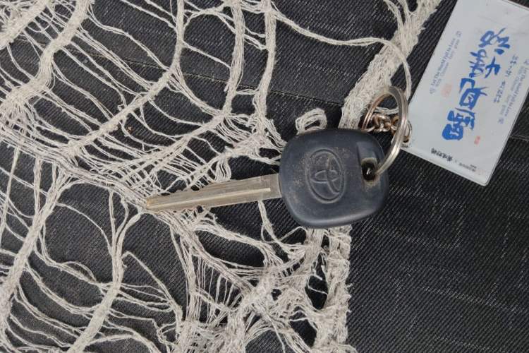 Used Jinbei Grace 2016 2.0L Express Luxury Edition Vehicle Key