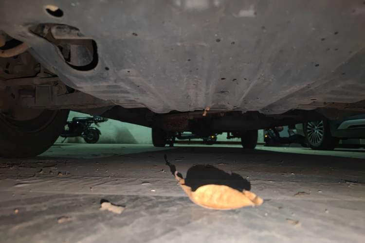 Used Jinbei Grace 2016 2.0L Standard Delivery Version Chassis Front