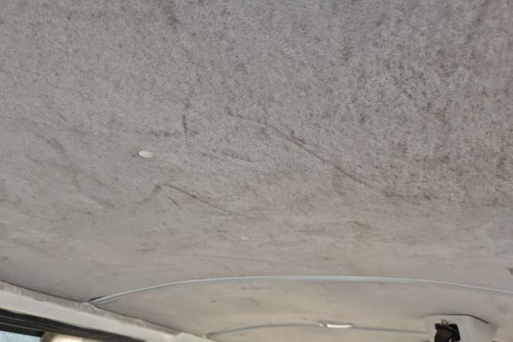 Used Jinbei Grace 2016 2.0L Express Utility Model Headliner