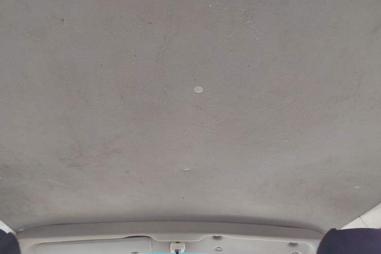 Used Jinbei Grace 2016 2.0L Express Utility Model Headliner