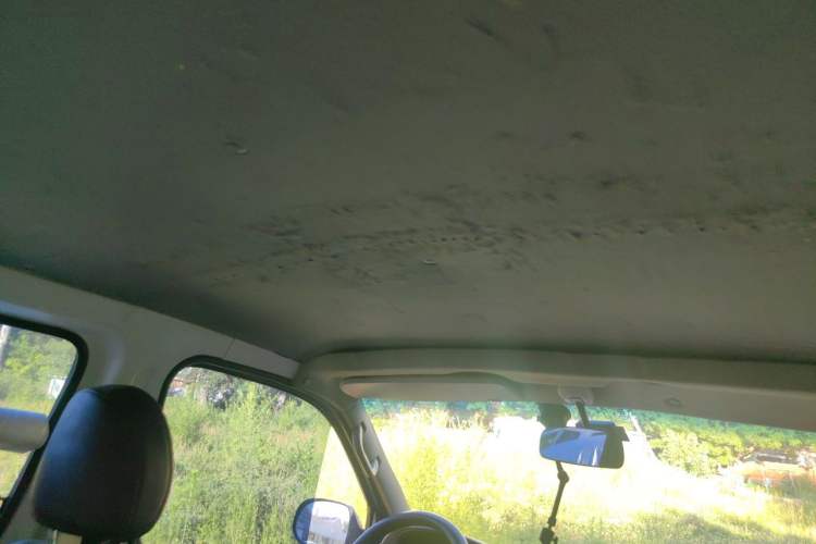 Used Jinbei Grace  Headliner