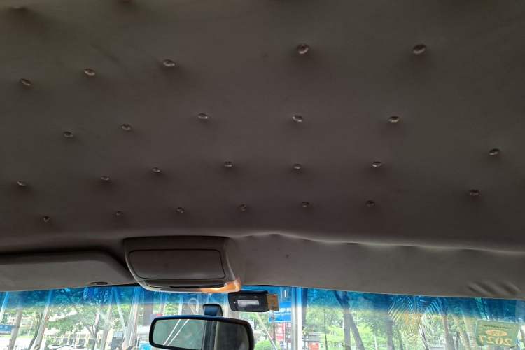 Used Jinbei Grace 2016 2.0L Express Utility Model Headliner