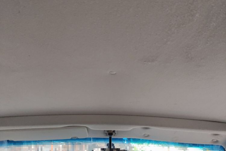 Used Jinbei Grace 2016 2.0L Express Utility Model Headliner