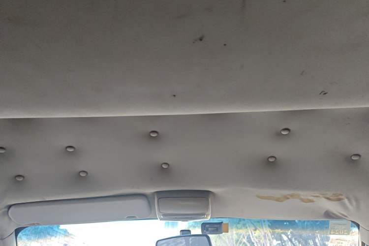 Used Jinbei Grace 2016 2.0L Express Utility Model Headliner