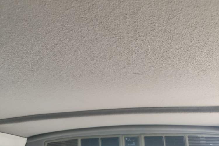 Used Jinbei Hiace 2011 2.2L 5th Generation Power King Deluxe Version 4G22D4B Headliner