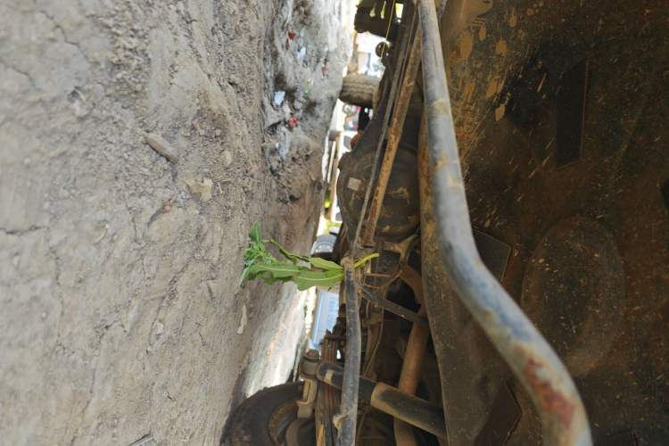 Used Jinbei Hiace 2014 2.0L Fifth-Generation Xiangyun Comfort Type 1 4G20C Chassis Rear