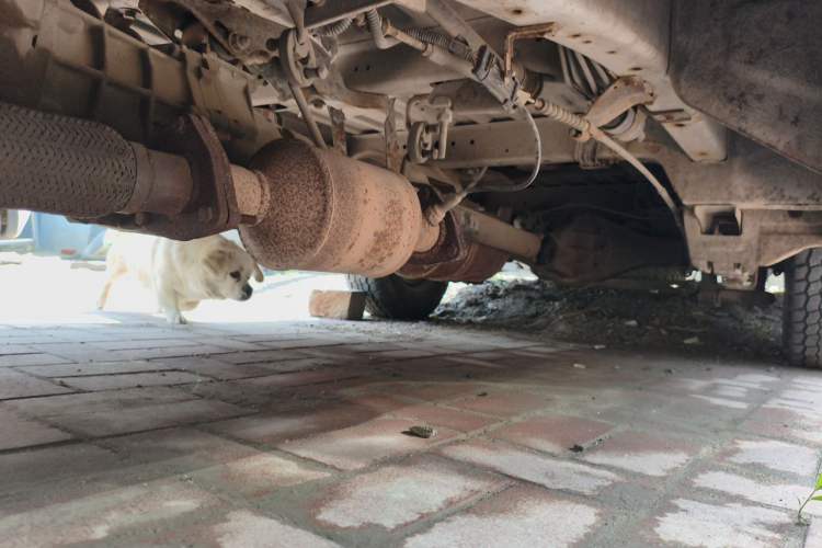 Used Jinbei Hiace 2014 2.0L 5th Generation Kuaiyunwang Business Version 4G19 Chassis Front Left