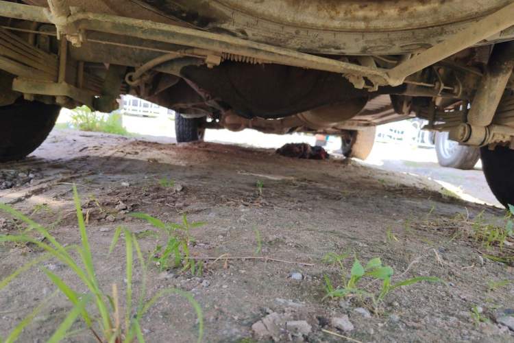 Used Jinbei Hiace  Chassis Rear