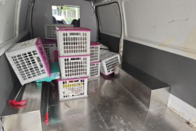 Used Jinbei Hiace 2014 2.0L 5th Generation Kuaiyunwang Business Version 4G21B Left Rear Seat
