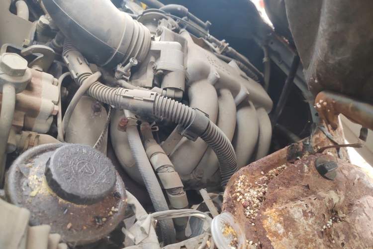 Used Jinbei Hiace 2016 2.0L Express Series Standard Version V19 Engine Bay Left