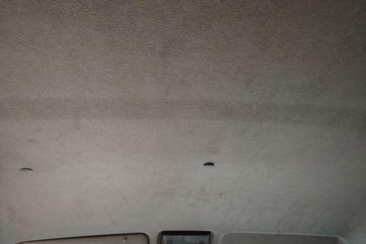 Used Jinbei Hiace X30 2018 1.5L Standard Edition DLCG14 Headliner