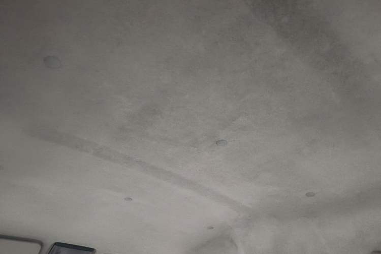 Used Jinbei Hiace X30 2019 1.5L Standard Version China VI SWC15M Headliner