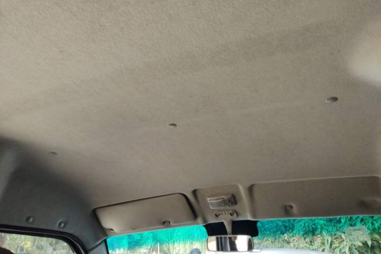 Used Jinbei Hiace X30 2020 1.5L Van Super-Enjoyment Model China VI Standard SWC15M Headliner