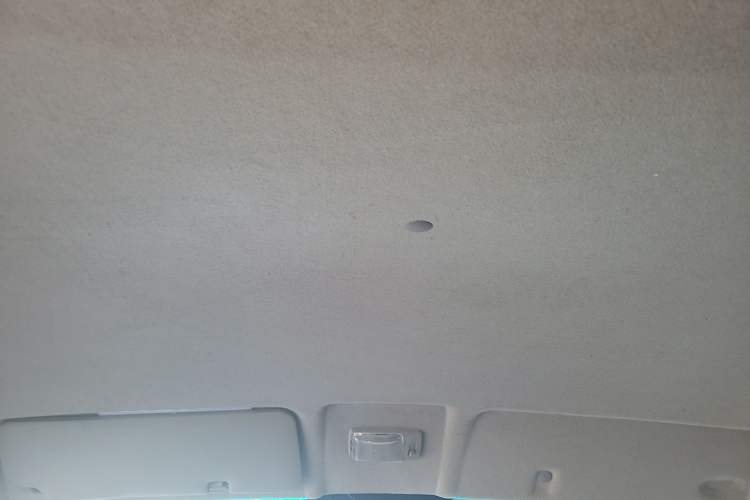 Used Jinbei Hiace X30 2020 1.5L Van Super-Enjoyment Model China VI Standard SWC15M Headliner