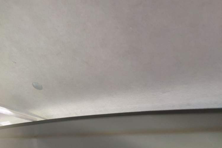 Used Jinbei Hiace X30 2022 1.5L Cargo Version China VI SWC15M Headliner