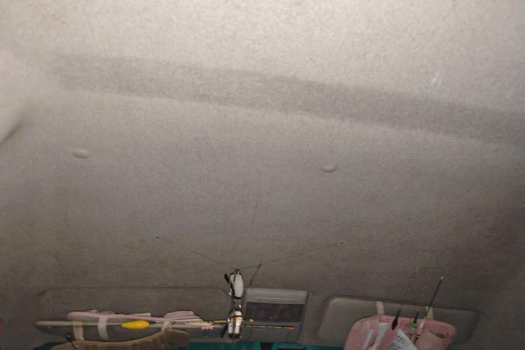 Used Jinbei New Hiace X30L 2016 1.5L Business Edition DLCG14 Headliner