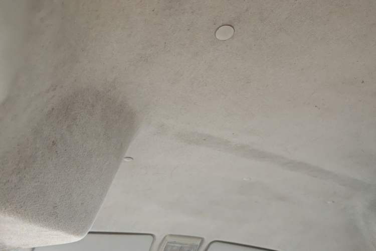 Used Jinbei New Hiace X30L 2016 1.5L Wealth Edition DLCG14 Headliner
