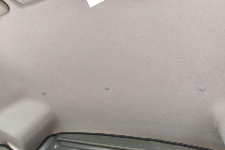 Used Jinbei New Hiace X30L 2019 1.5L Cargo Van Wealth Edition China VI SWC15M Headliner