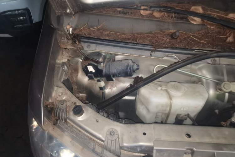 Used Jinbei New Hiace X30L 2021 1.5L Wealth Central Air Conditioning Version Coach China VI Standard SWC15M Engine Bay Right