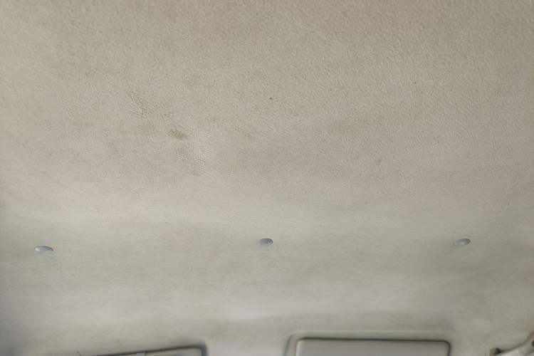 Used Jinbei Starfish A9 2011 1.0L Standard Edition Headliner