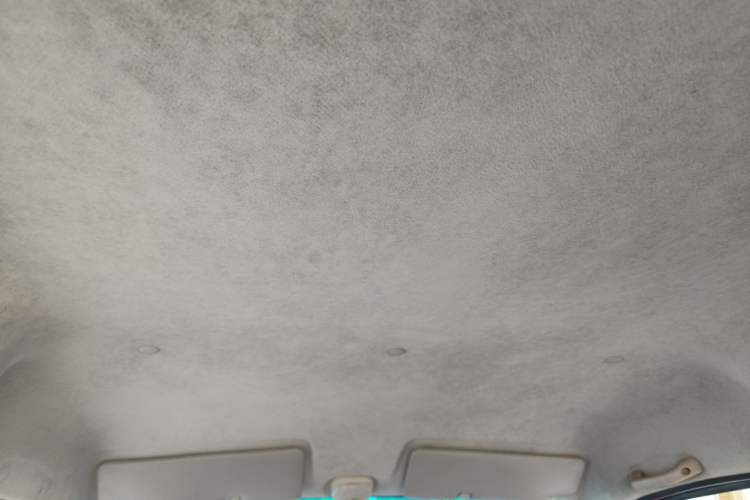 Used Jinbei Starfish A9 2011 1.0L Standard Edition Headliner