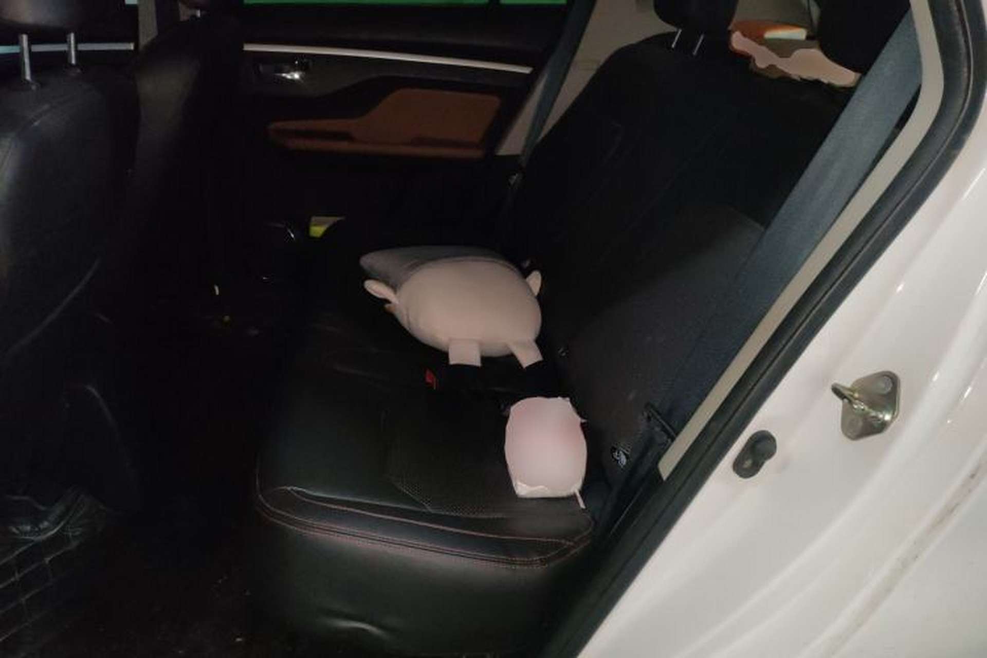 Used Jinbei Zhishang S35 2016 1.5L Manual Luxury Edition Left Rear Seat