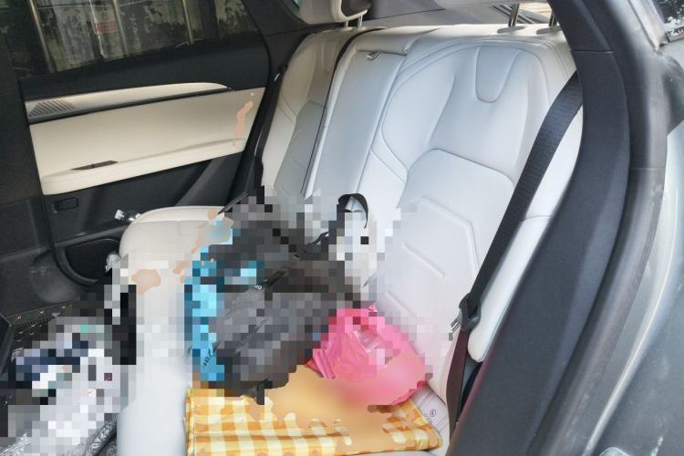 Used Jiyue 01 2024 Max Left Rear Seat