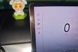 Thumbnail 15