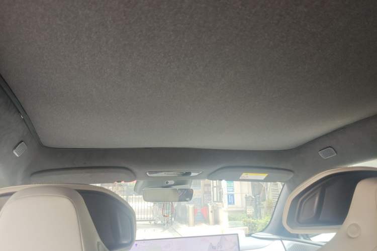 Used Jiyue 01 2024 Max Headliner