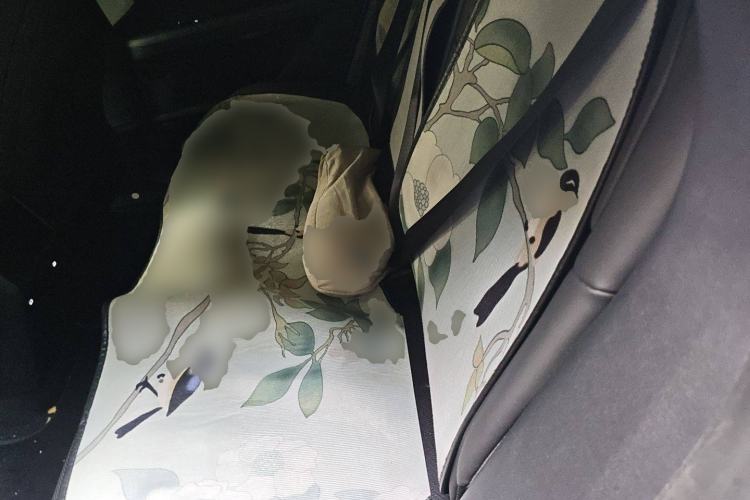 Used Jiyue 01 2024 Max Left Rear Seat