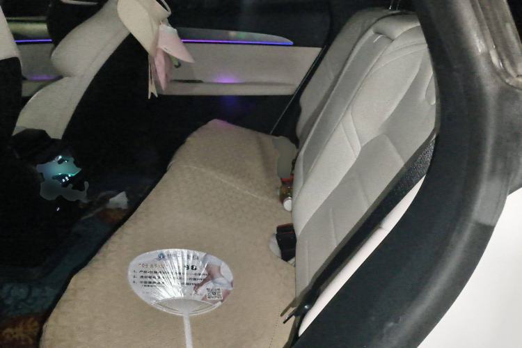 Used Jiyue 01 2024 Max Performance Edition Left Rear Seat