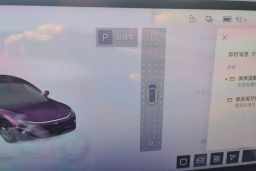 Thumbnail 15