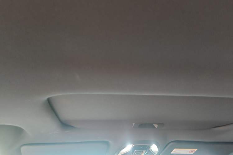 Used JMC DaDao 2023 Fly King 2.3T Gasoline Automatic 4x4 Extreme Edition Headliner