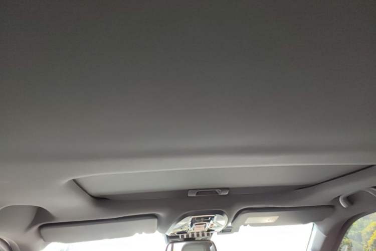 Used JMC DaDao 2024 Explorer 2.3T Diesel Automatic 4x4 Extreme Edition Headliner