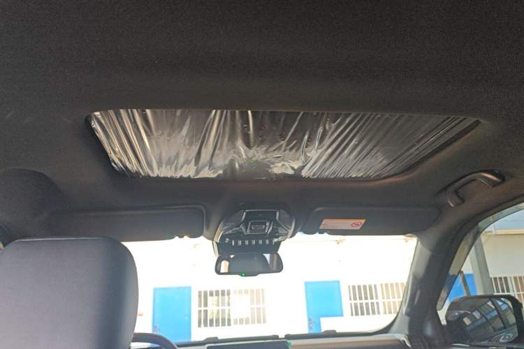 Used JMC DaDao 2024 Explorer 2.3T Gasoline Automatic 4x4 Extreme Edition Headliner