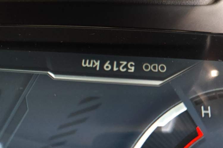 Used JMC DaDao 2024 Explorer 2.3T Gasoline Automatic 4x4 Extreme Edition Odometer Close Up