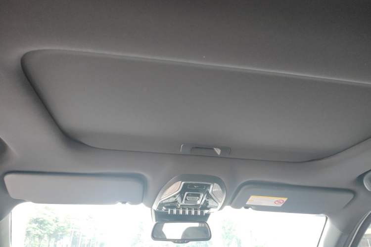 Used JMC DaDao 2024 Explorer 2.3T Gasoline Automatic 4x4 Extreme Edition Headliner