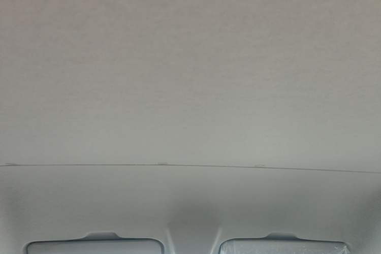 Used JMC Fushun 2023 2.0T Manual Short-Wheelbase Mid-Height Commercial Multi-Purpose 5-Seater Passenger Vehicle Headliner