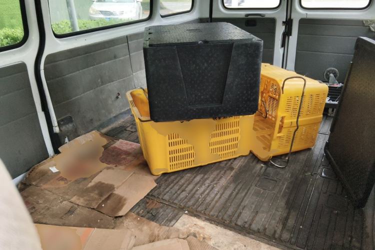 Used JMC Transit 2017 2.8T Commercial Version Long Wheelbase Mid-Roof 6/7/8-Seater JX493 Left Rear Seat